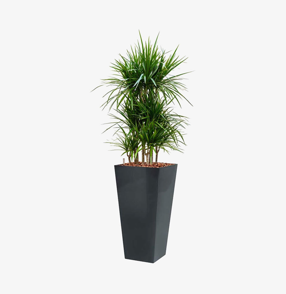 Square Runner Planter