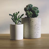 How-To: Pick a Planter for Your Plant