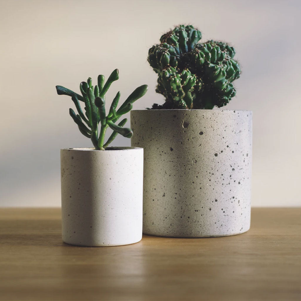 How-To: Pick a Planter for Your Plant