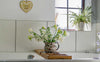 Creating an Herb Garden at Home